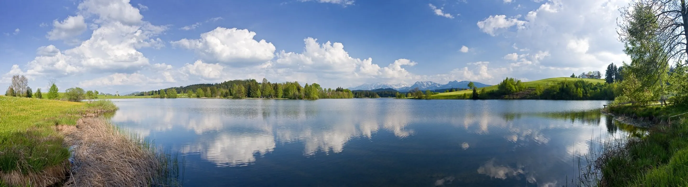 Panorama eines Sees mit grünen Ufern, Bäumen und Bergen unter blauem Himmel mit weißen Wolken, die sich im Wasser spiegeln.