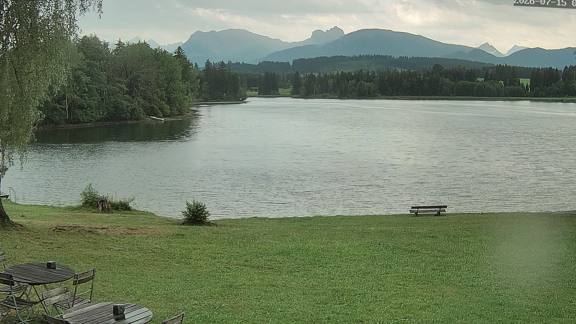 Webcam Schwaltenweiher Seeg im Allgäu